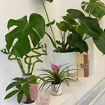 Jungle Loft - Central/free Parking アパート