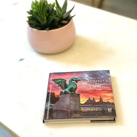 Lejlighed Jungle Loft - Central/free Parking *