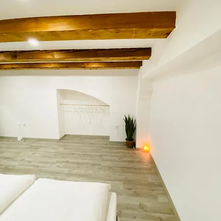 Lejlighed Jungle Loft - Central/free Parking