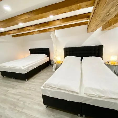 Jungle Loft - Central/free Parking