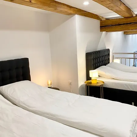 Jungle Loft - Central/free Parking Appartement Ljubljana