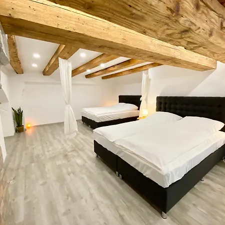 Jungle Loft - Central/free Parking