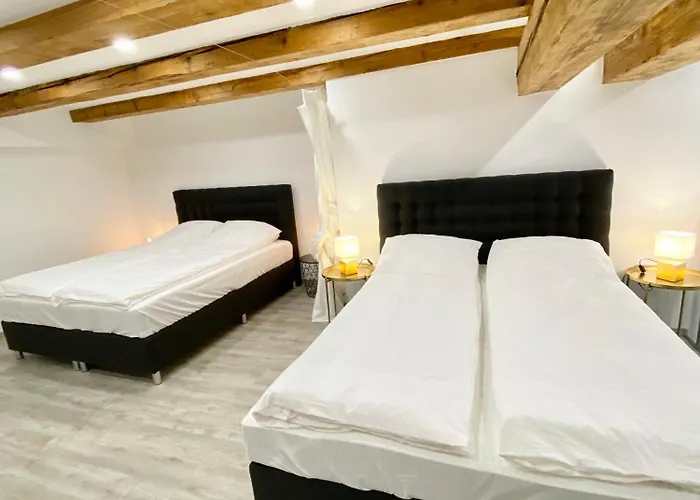 Jungle Loft - Central/free Parking