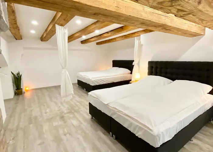 Jungle Loft - Central/free Parking