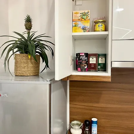 Lägenhet Jungle Loft - Central/free Parking *