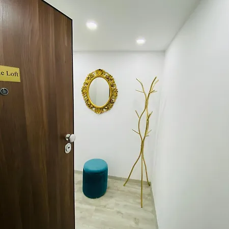 Appartement Jungle Loft - Central/free Parking *