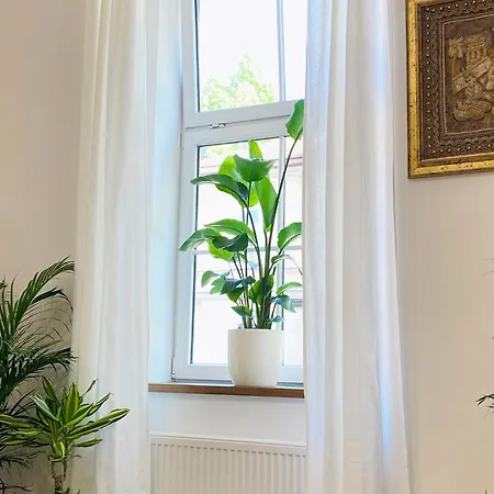 Jungle Loft - Central/free Parking Lägenhet Ljubljana