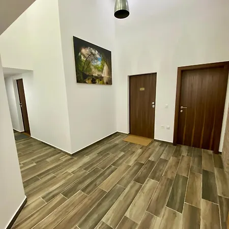 Jungle Loft - Central/free Parking Lägenhet