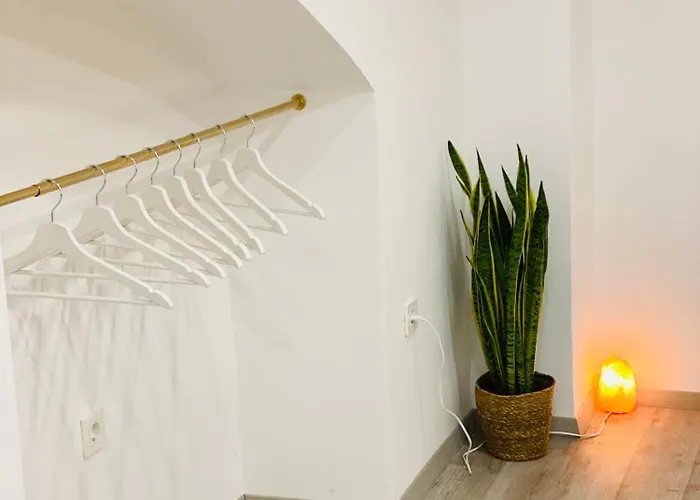 Daire Jungle Loft - Central/free Parking